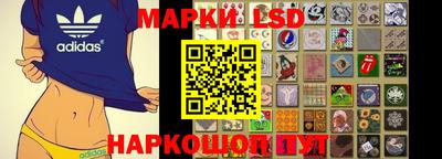 apvp Свободный