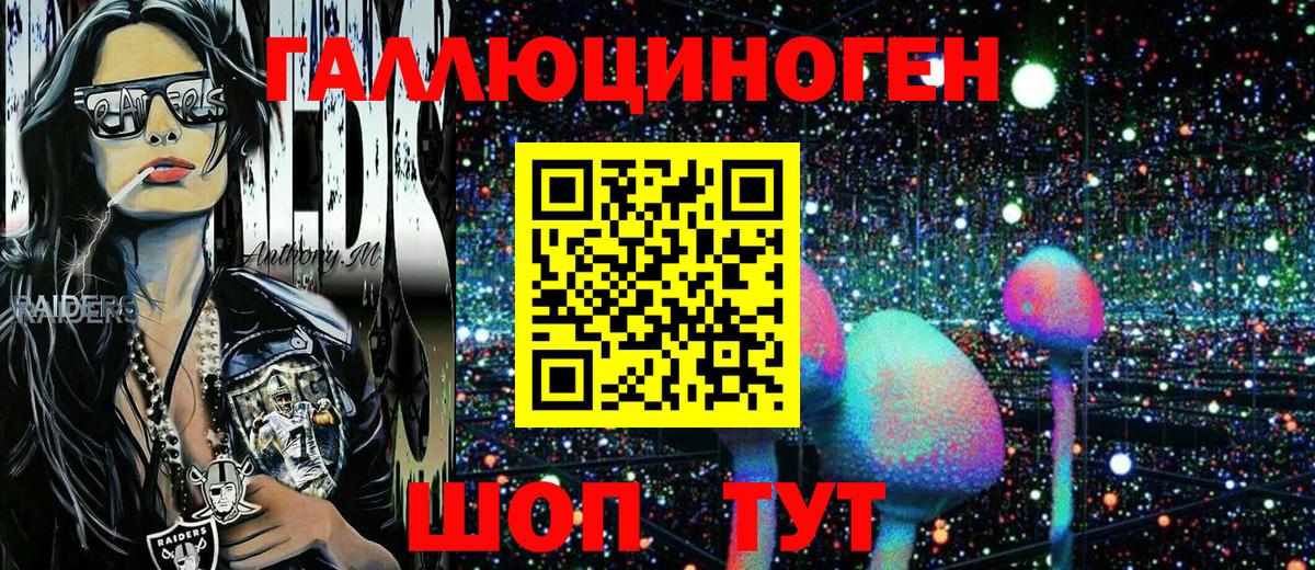 Полевской  Псилоцибиновые грибы MAGIC MUSHROOMS  Вход с VPN 